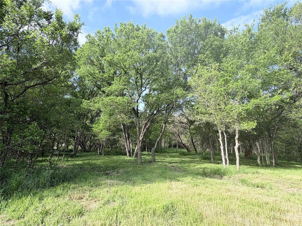 5243 FM 2114, Abbott, TX 76621