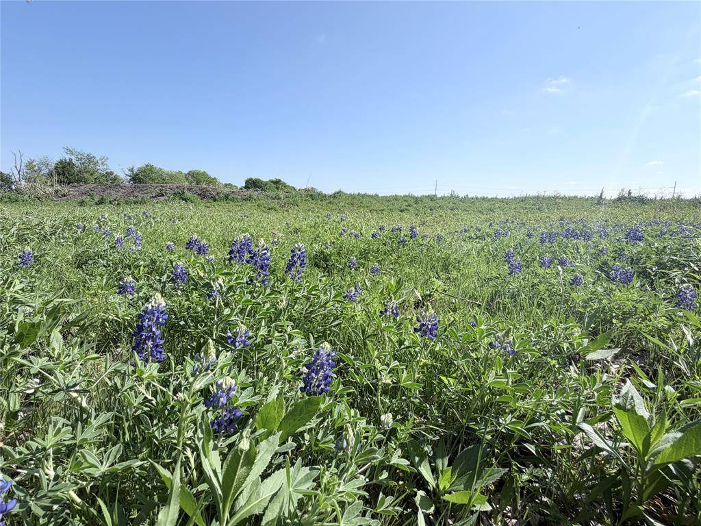 TBD County Road 3204, Abbott, TX 76621