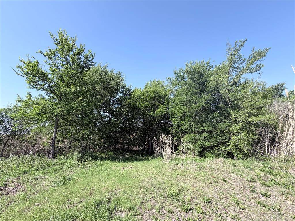 TBD County Road 3204, Abbott, TX 76621