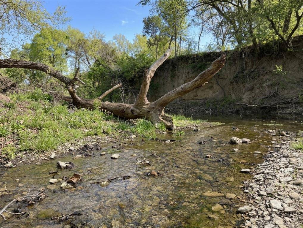 12031 Paradise, Bluff Dale, TX 76433