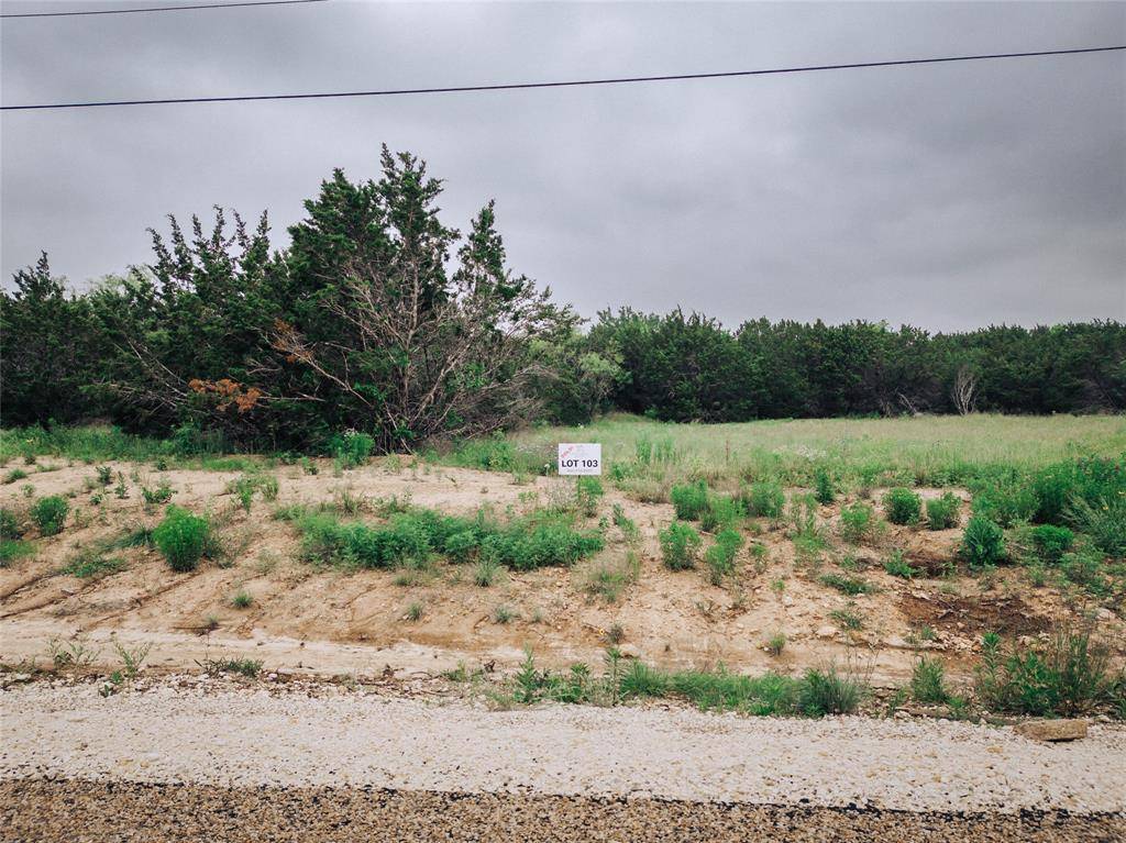1165 County Road 407, Nemo, TX 76070