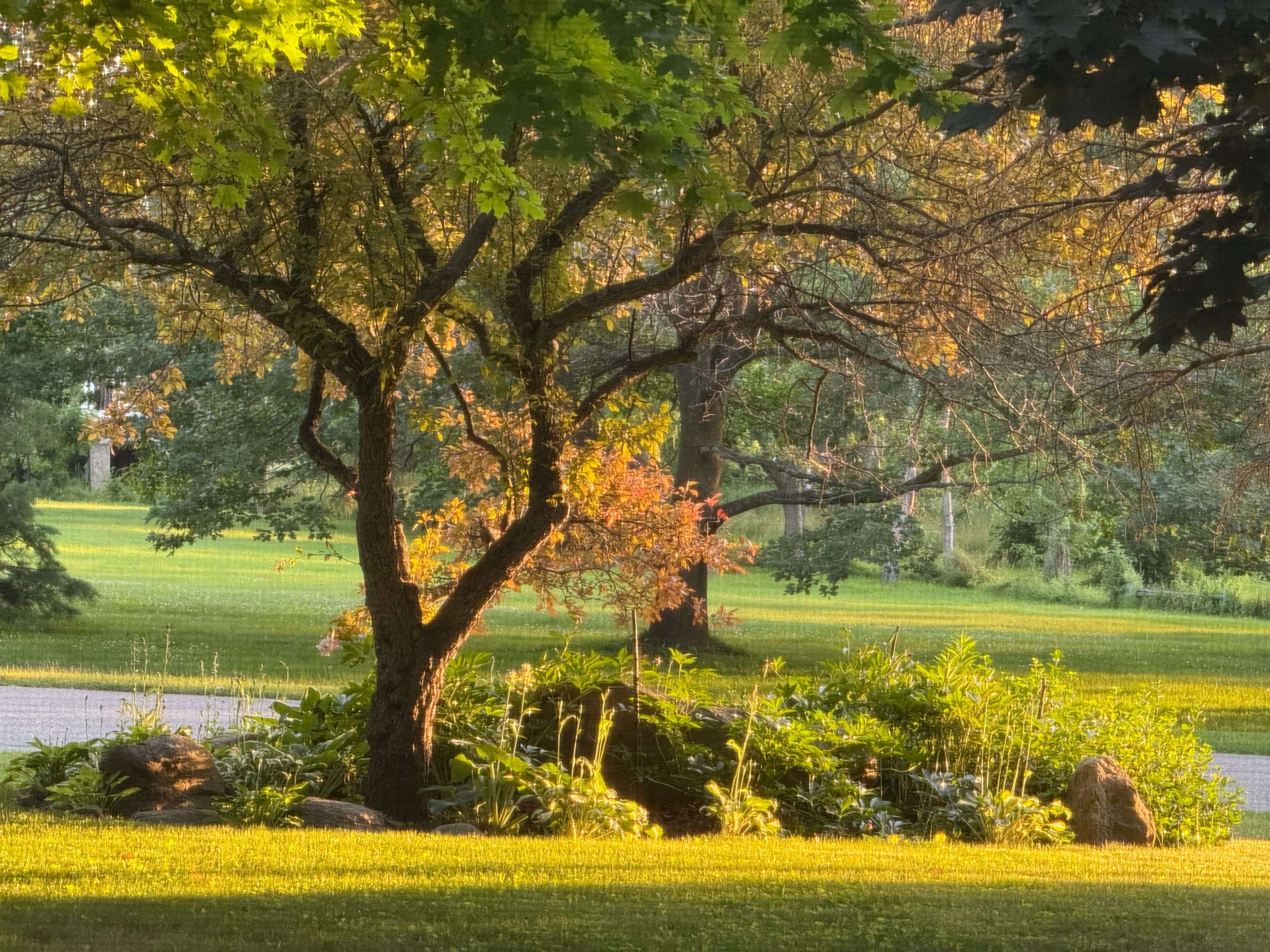 9 Mill View CT, Caledon, ON L7K 2N4