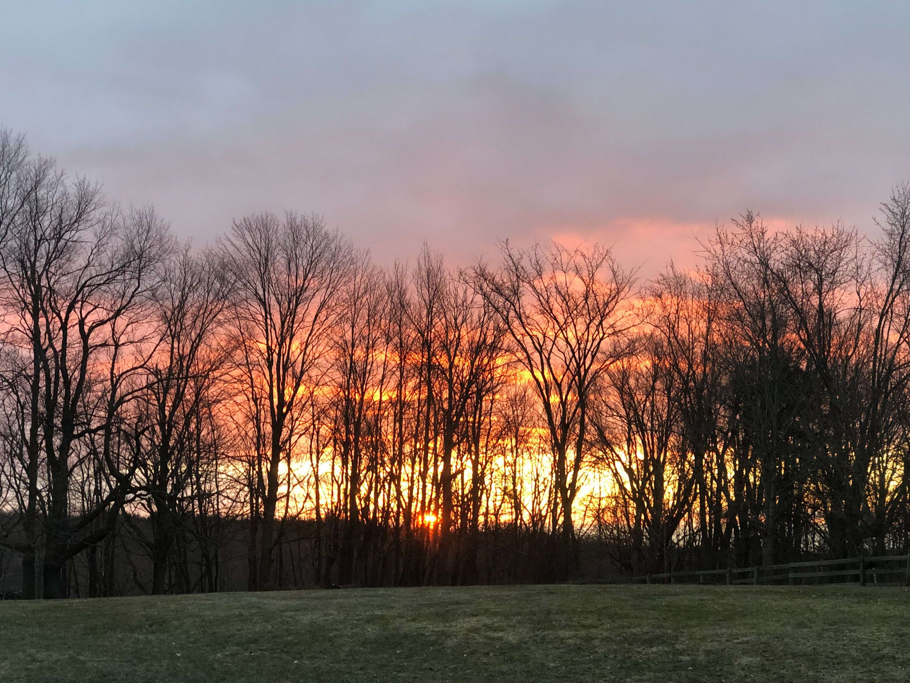 9 Mill View CT, Caledon, ON L7K 2N4