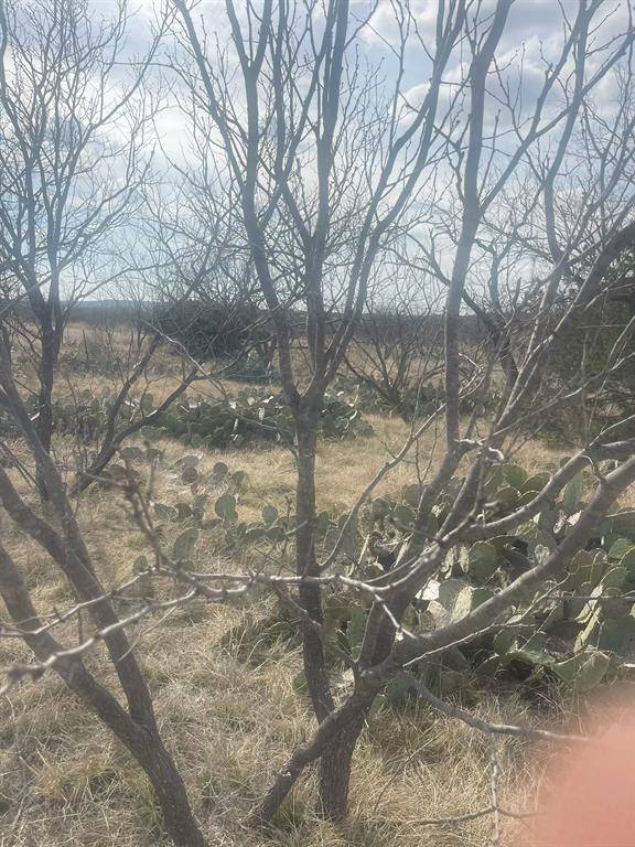 TBD County Road 221, Brookesmith, TX 76827