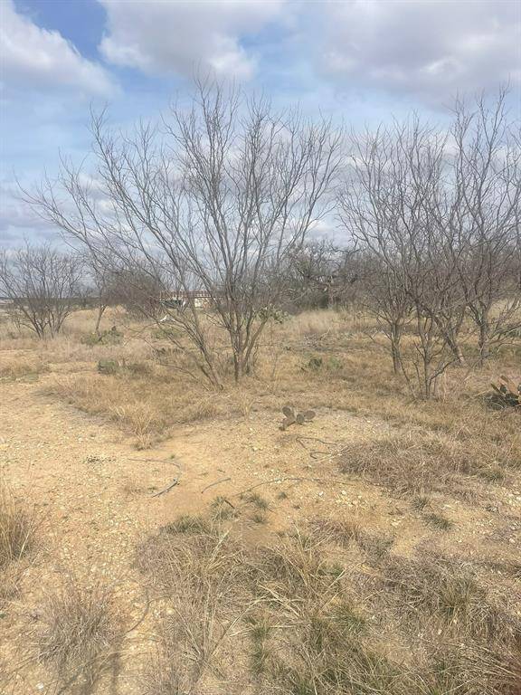 TBD County Road 221, Brookesmith, TX 76827