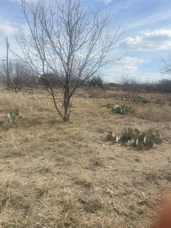 TBD County Road 221, Brookesmith, TX 76827