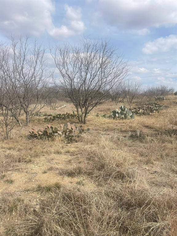 TBD County Road 221, Brookesmith, TX 76827