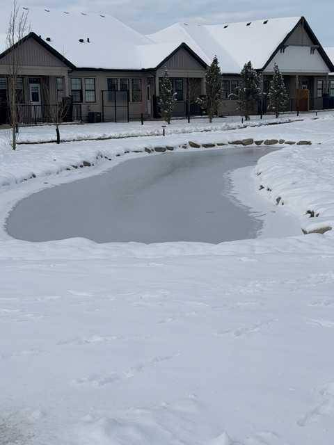 15 Coopersfield Link SW #1901, Airdrie, AB T4B 5P5