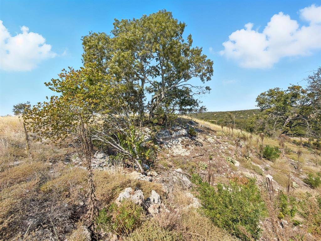 TBD FM 2414 - Tract 4, Evant, TX 76526