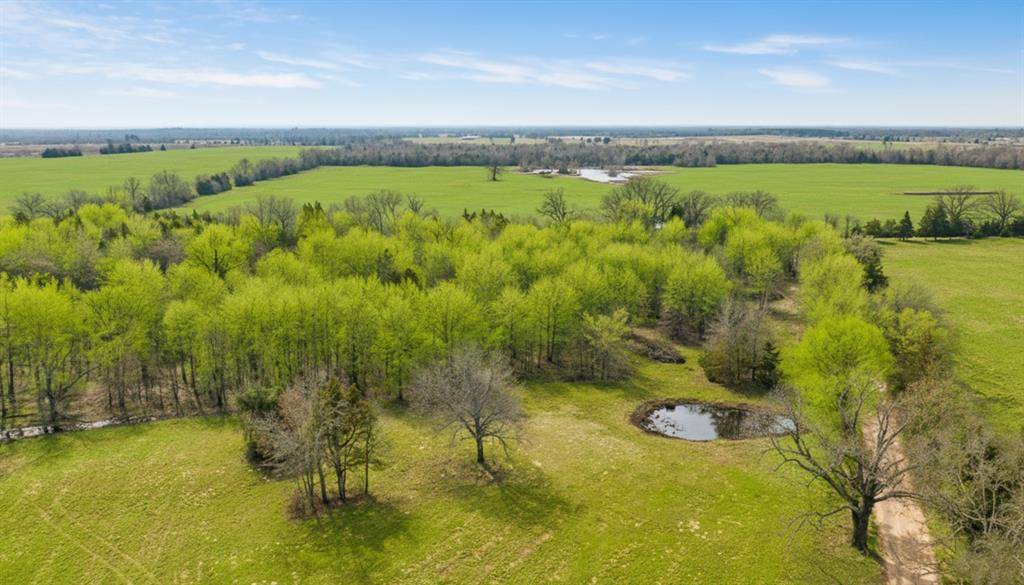 TBD County Road 1420, Bogata, TX 75417