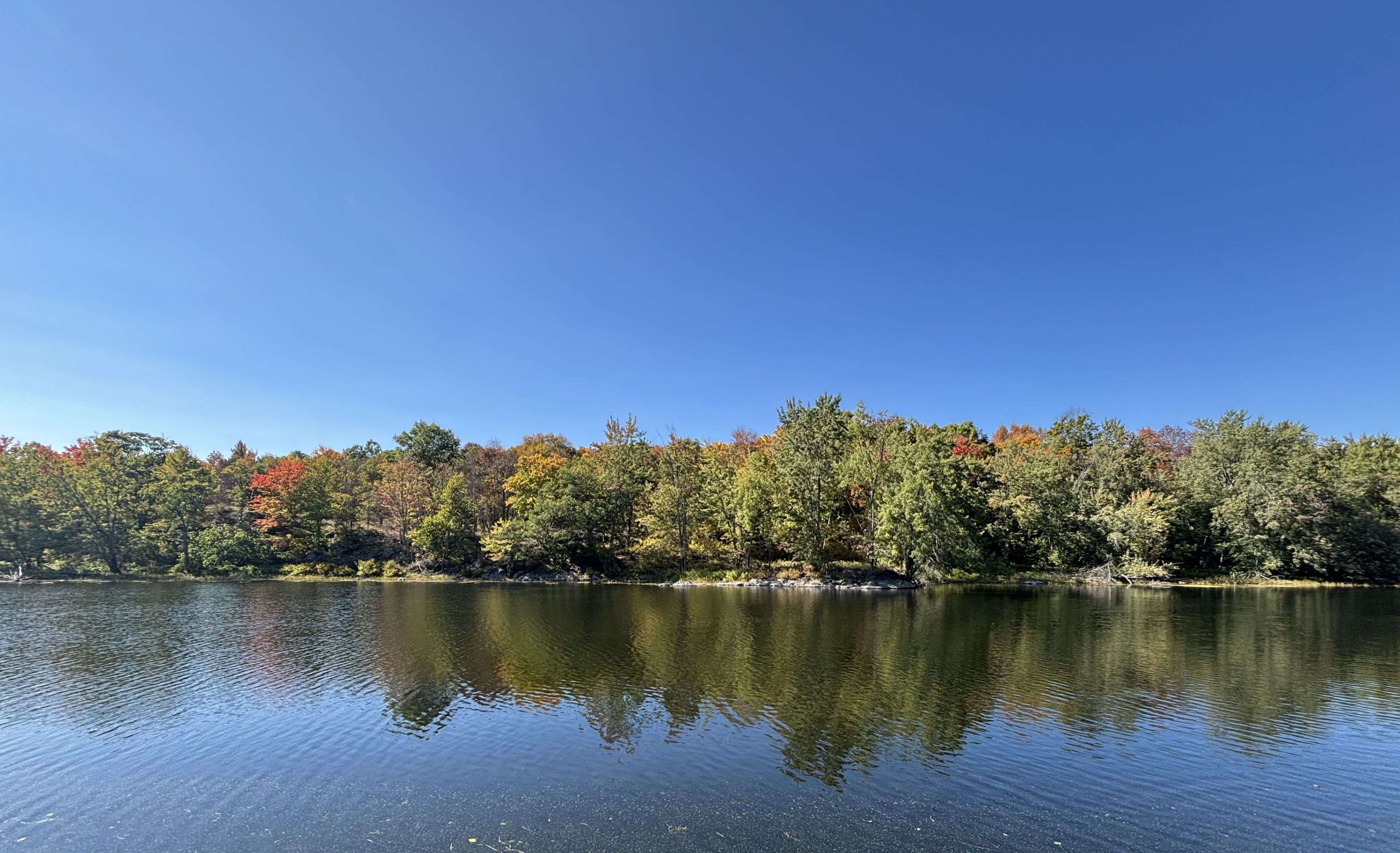 206I Kehoe LN, Tweed, ON K0K 3J0