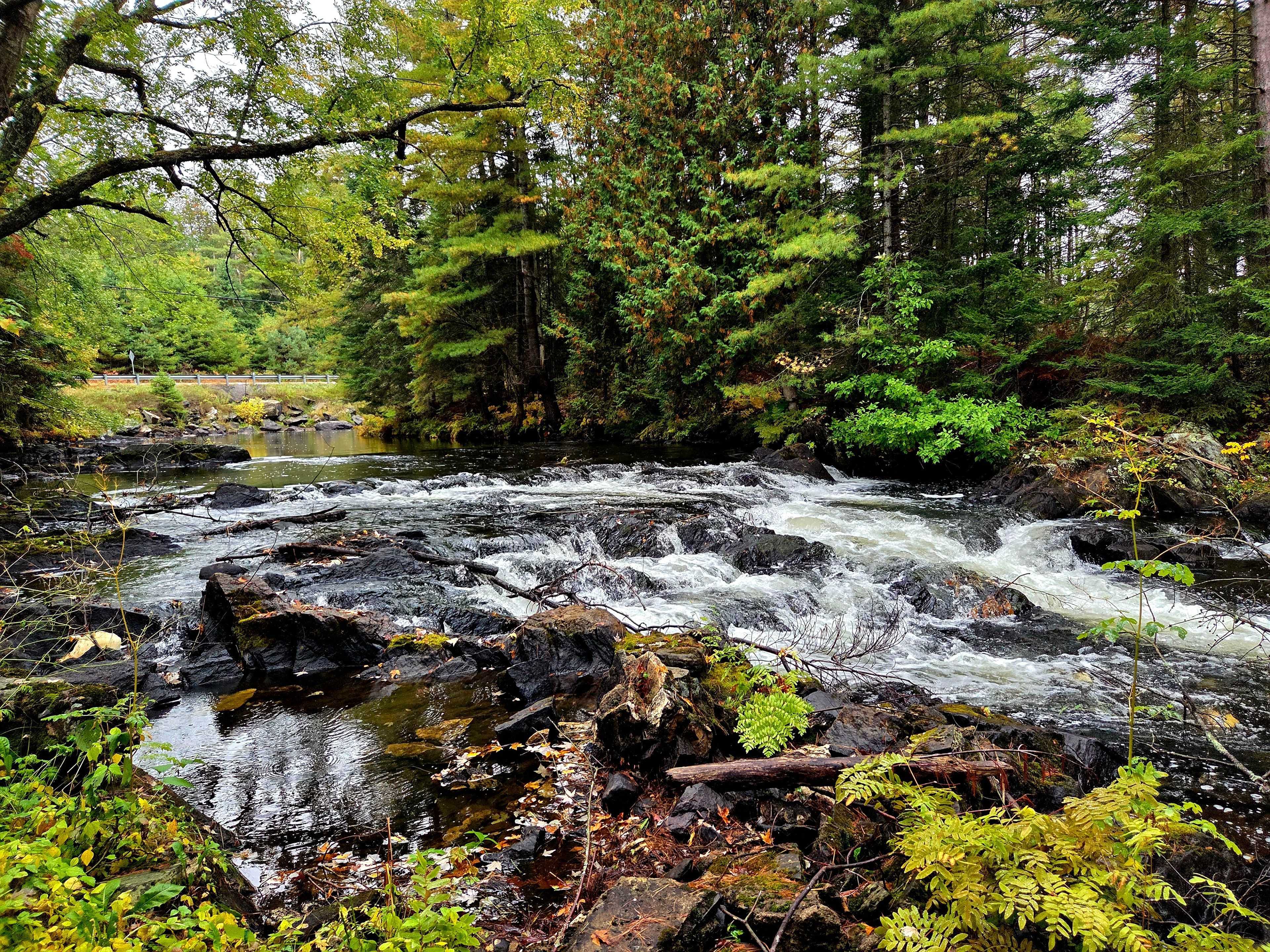 8847 Highway 28 N/A, North Kawartha, ON K0L 1A0