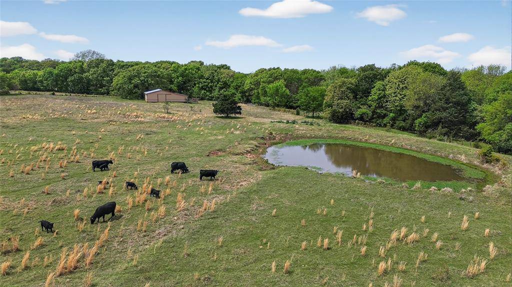 539 Cemetery Road, Pottsboro, TX 75076