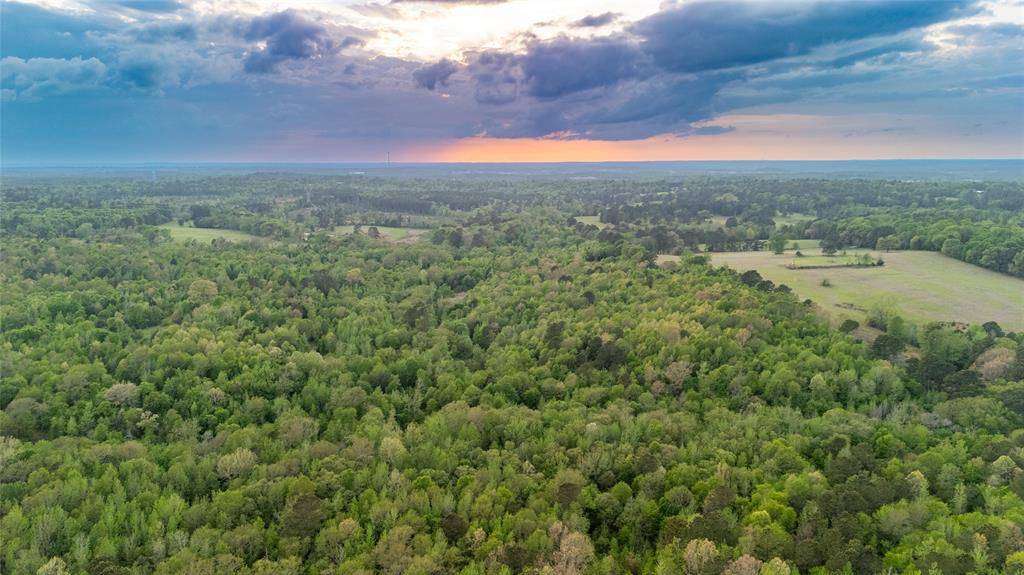 000 FM 838, Overton, TX 75684