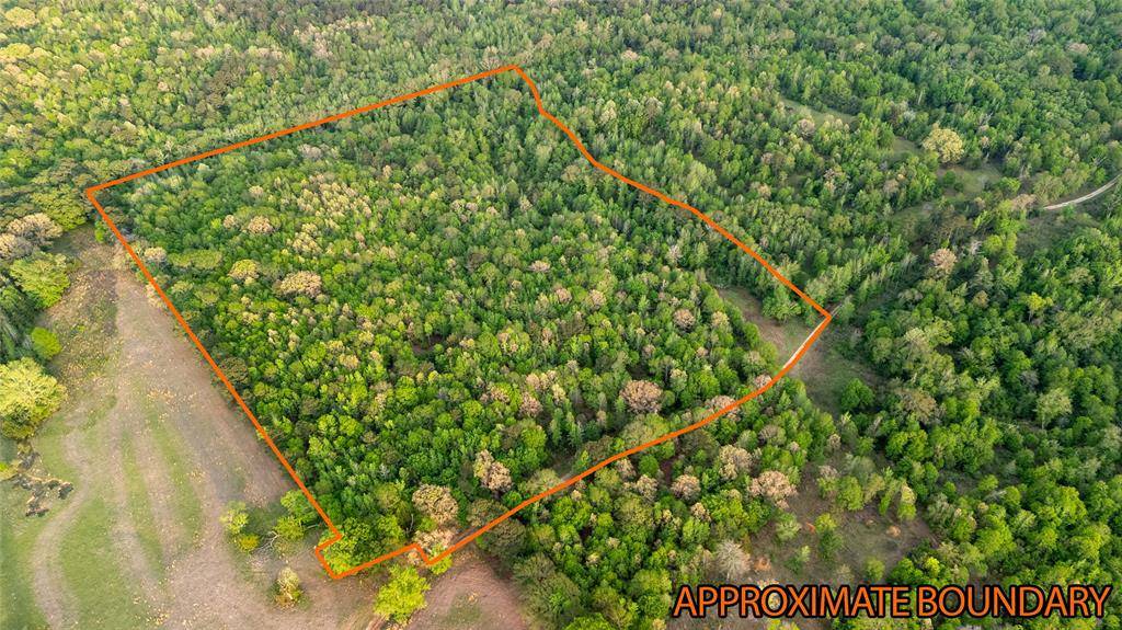 000 FM 838, Overton, TX 75684