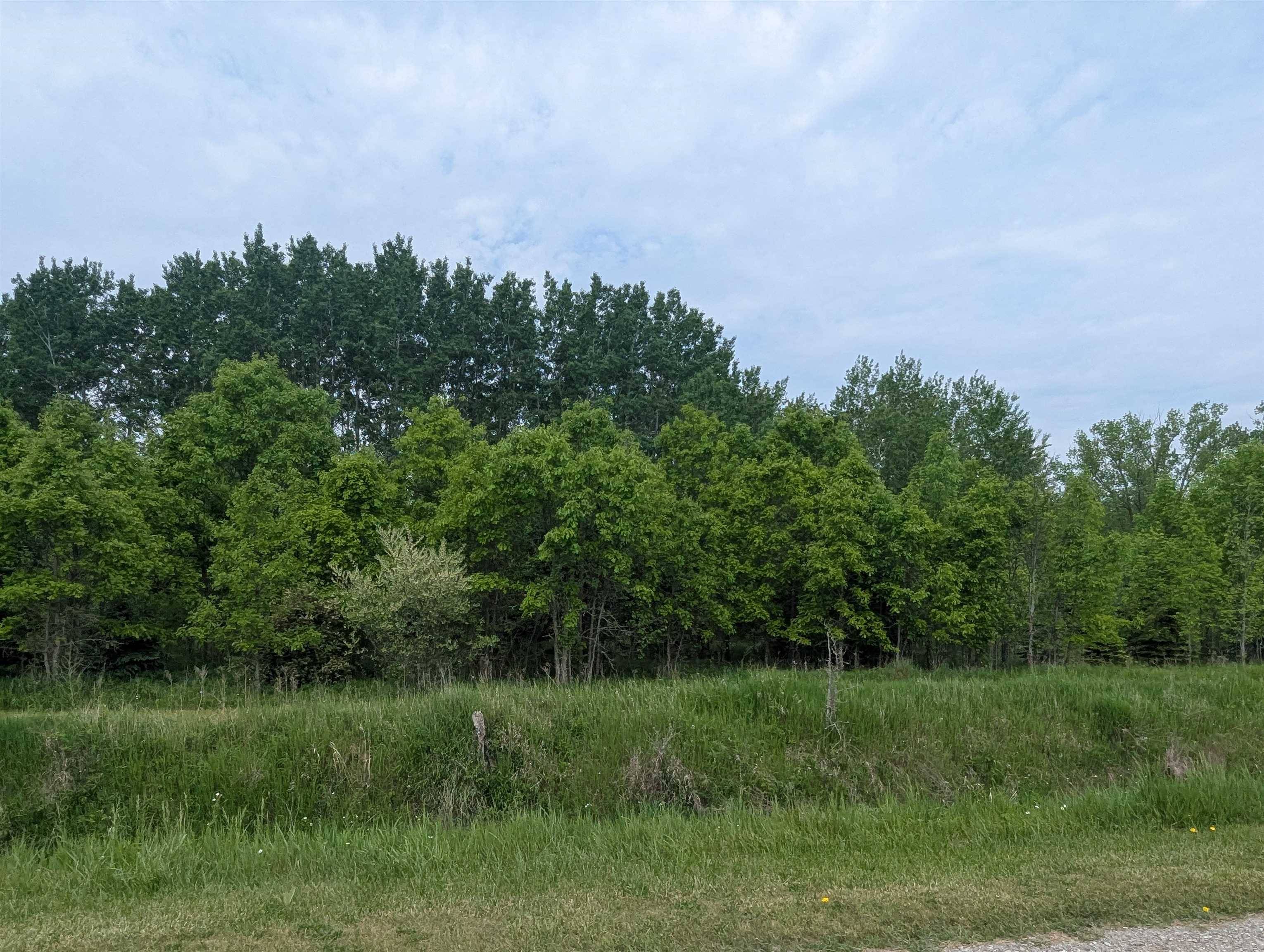 N/A Twining RD, Whitney Twp, MI 48703