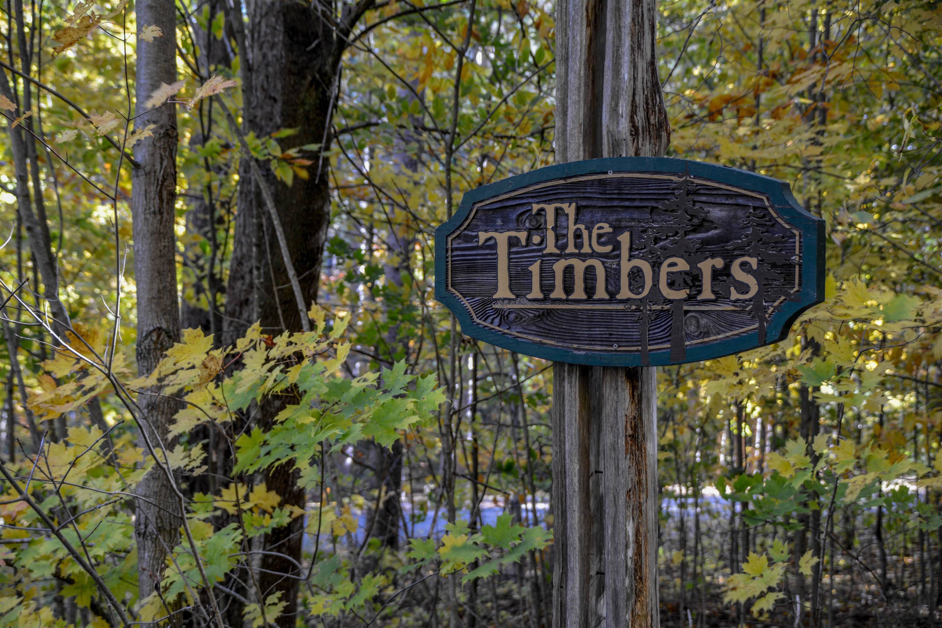 W Timber LN, Kasson Twp, MI 49630