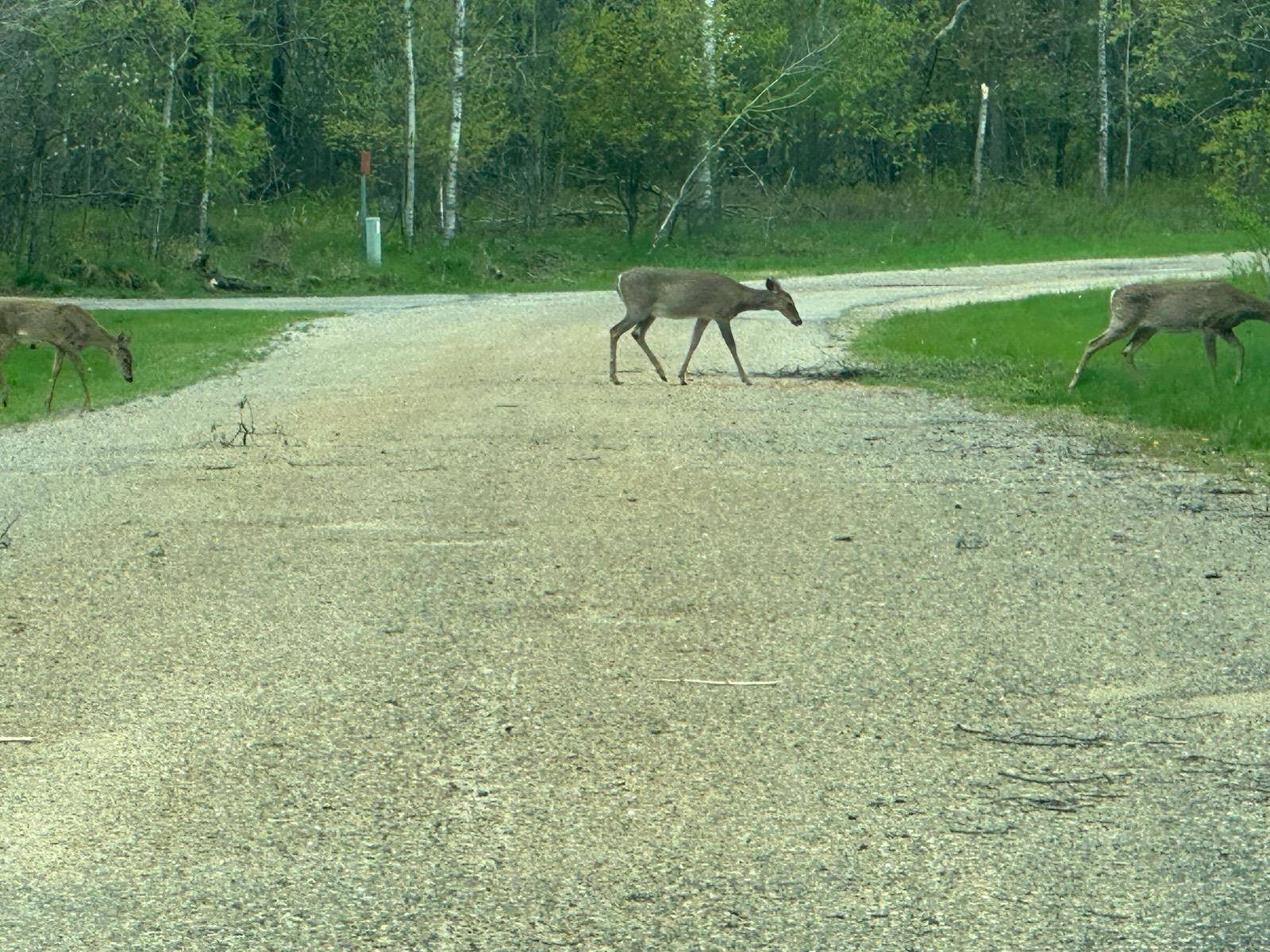 6 Fairway CT, Beaver Creek Twp, MI 49738