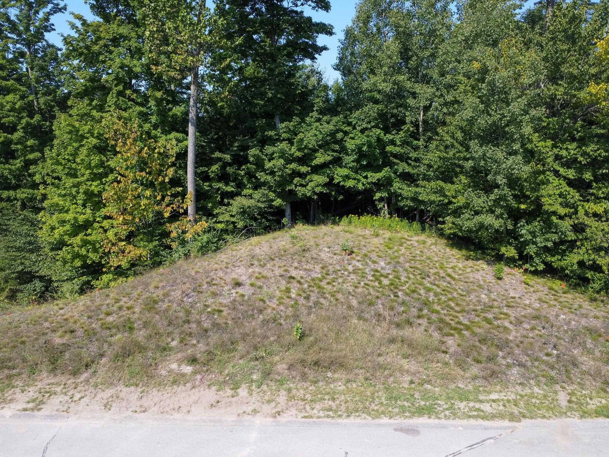 1955 N Blue Water CT, Suttons Bay Twp, MI 49682