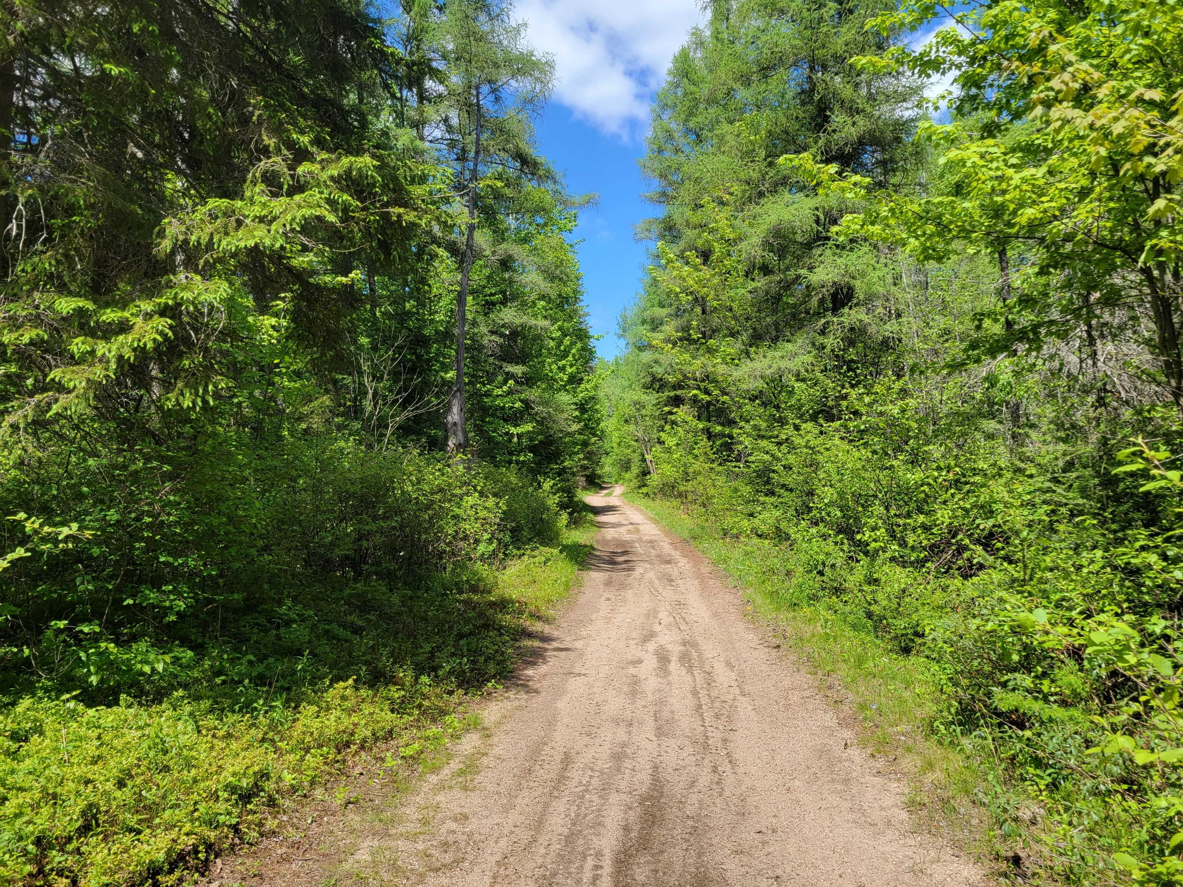 0 Dufferin ST, South River, ON P0A 1X0