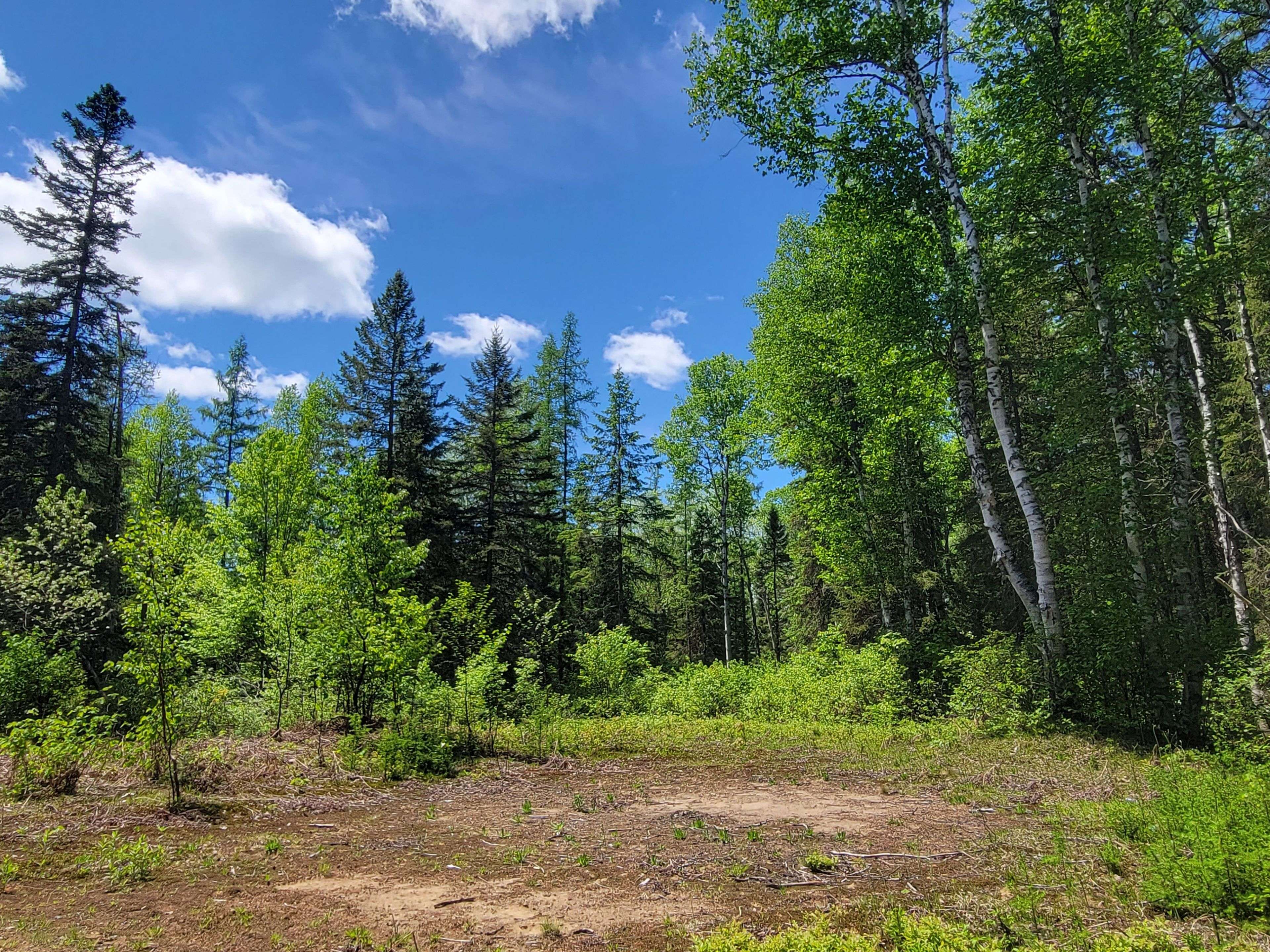 0 Dufferin ST, South River, ON P0A 1X0