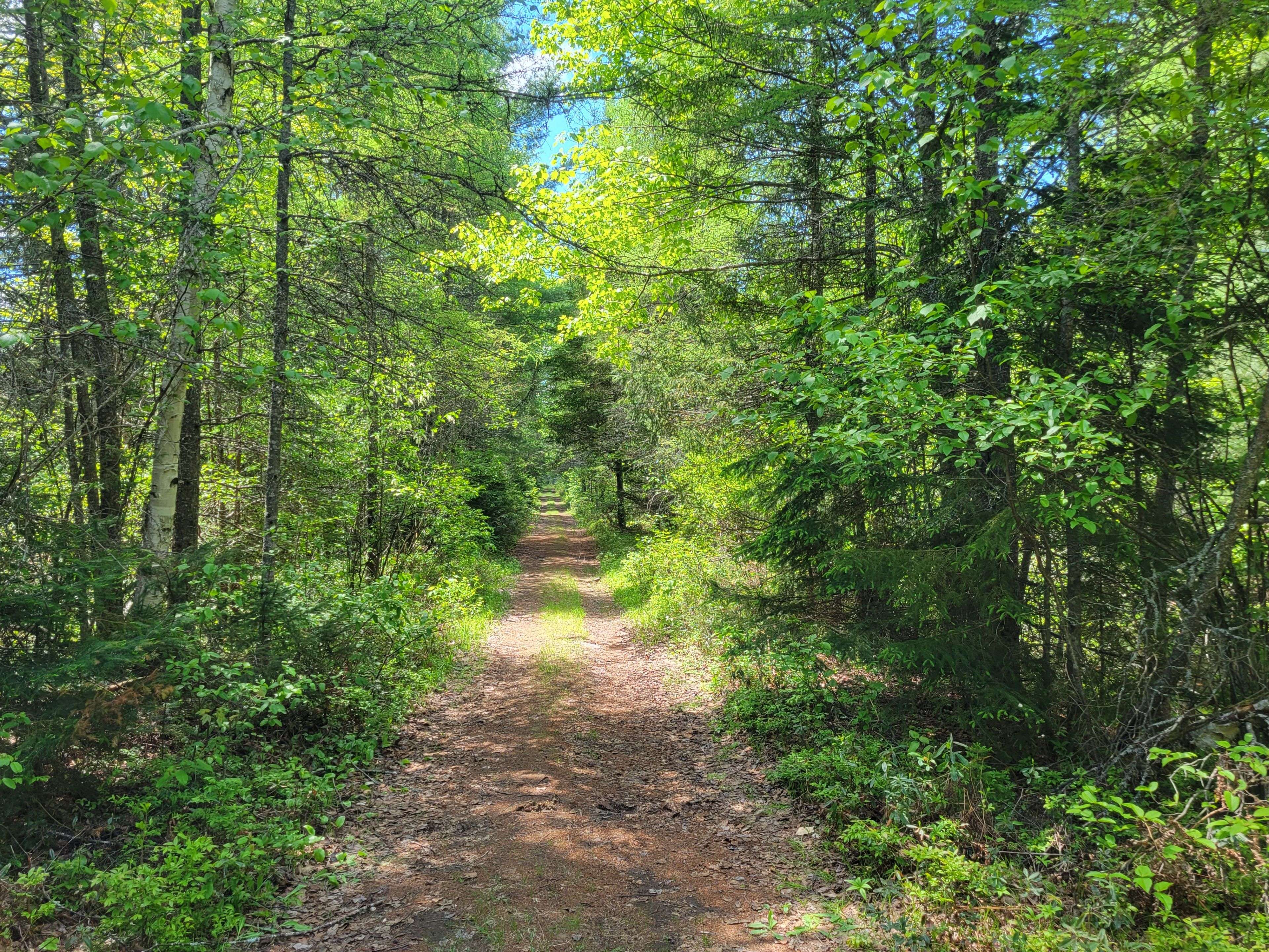 0 Dufferin ST, South River, ON P0A 1X0