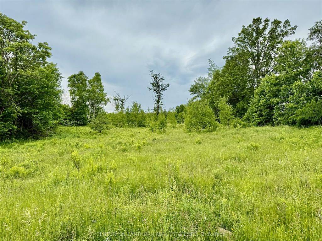 00 Cooper RD, Madoc, ON K0K 2K0