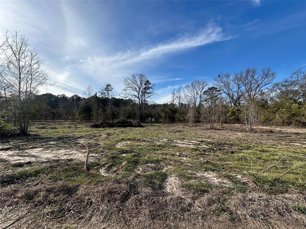 9219 County Road 152 N, Overton, TX 75684