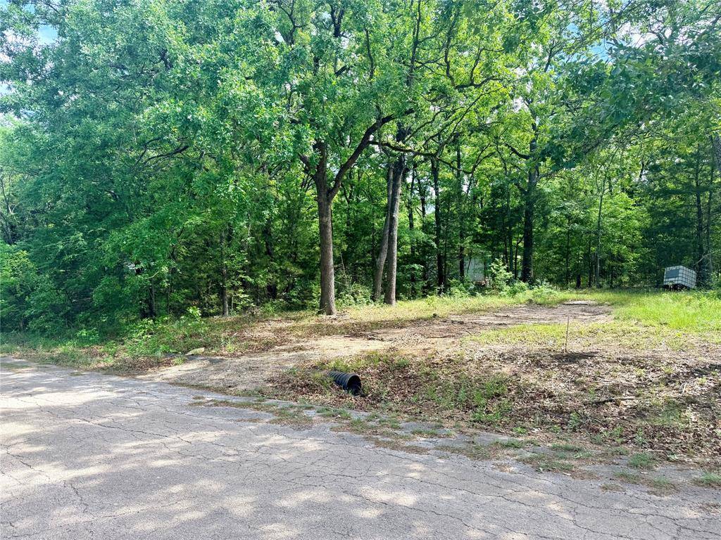 7137 Cayuga Drive, Mabank, TX 75156