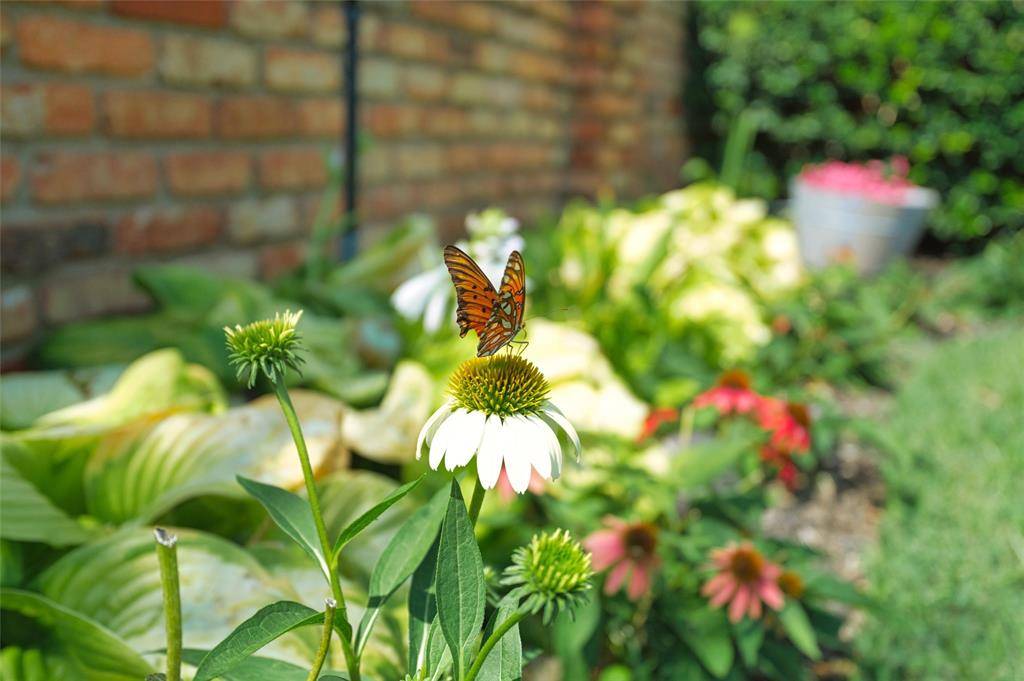 16001 Chalfont Circle, Dallas, TX 75248