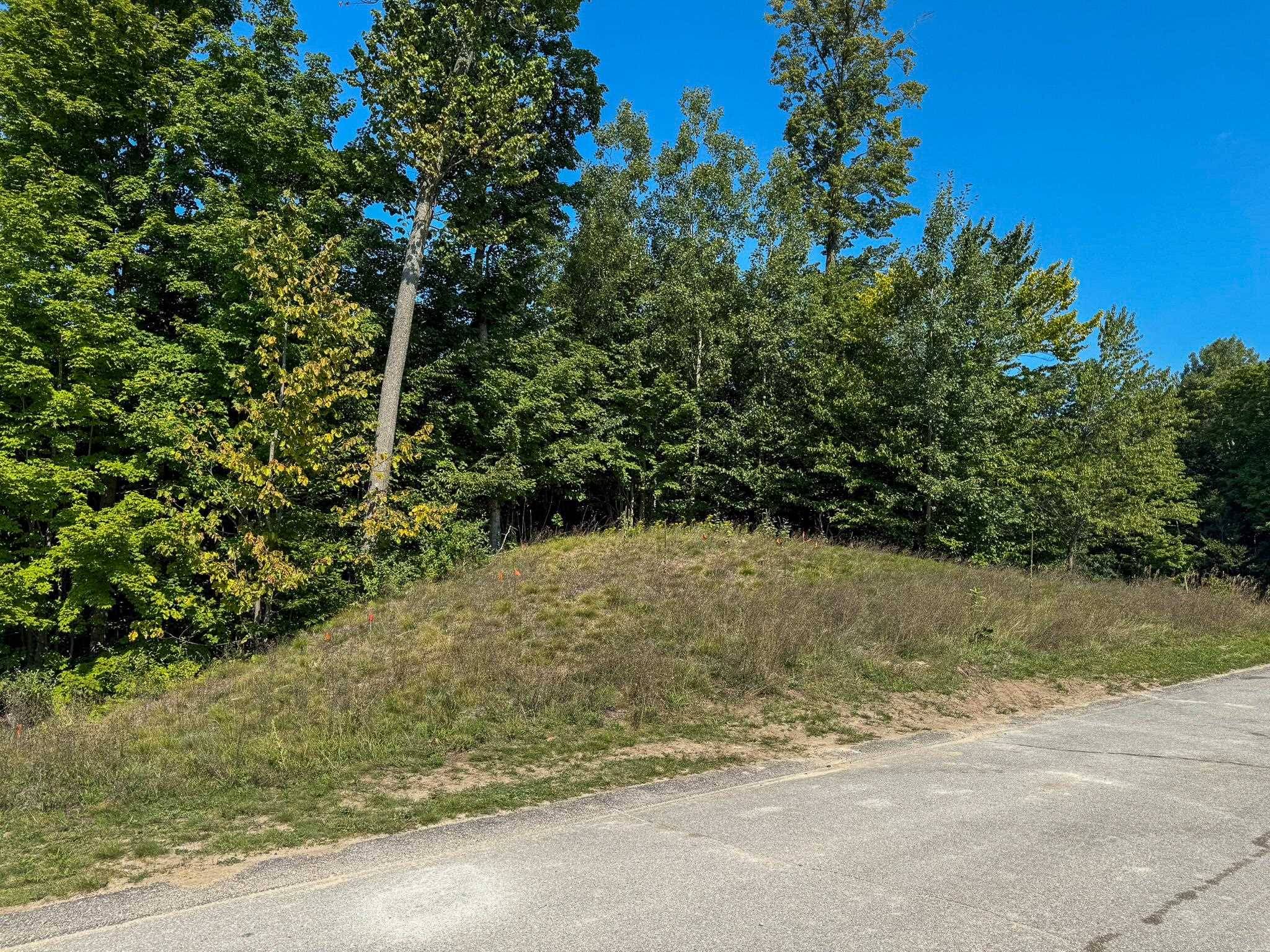 1955 N Blue Water CT, Suttons Bay Twp, MI 49682