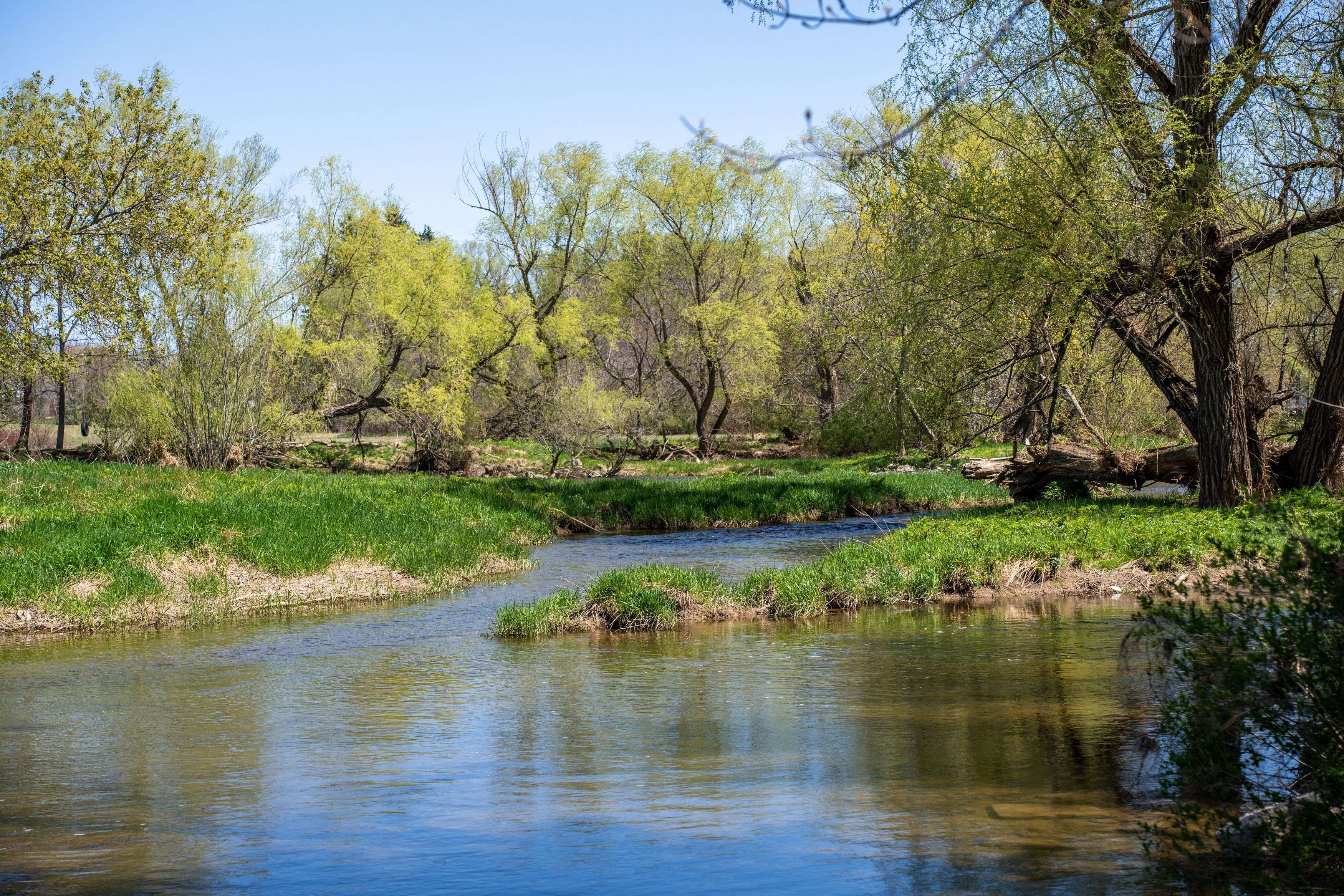 142 Mill ST, Arran-elderslie, ON N0H 2N0