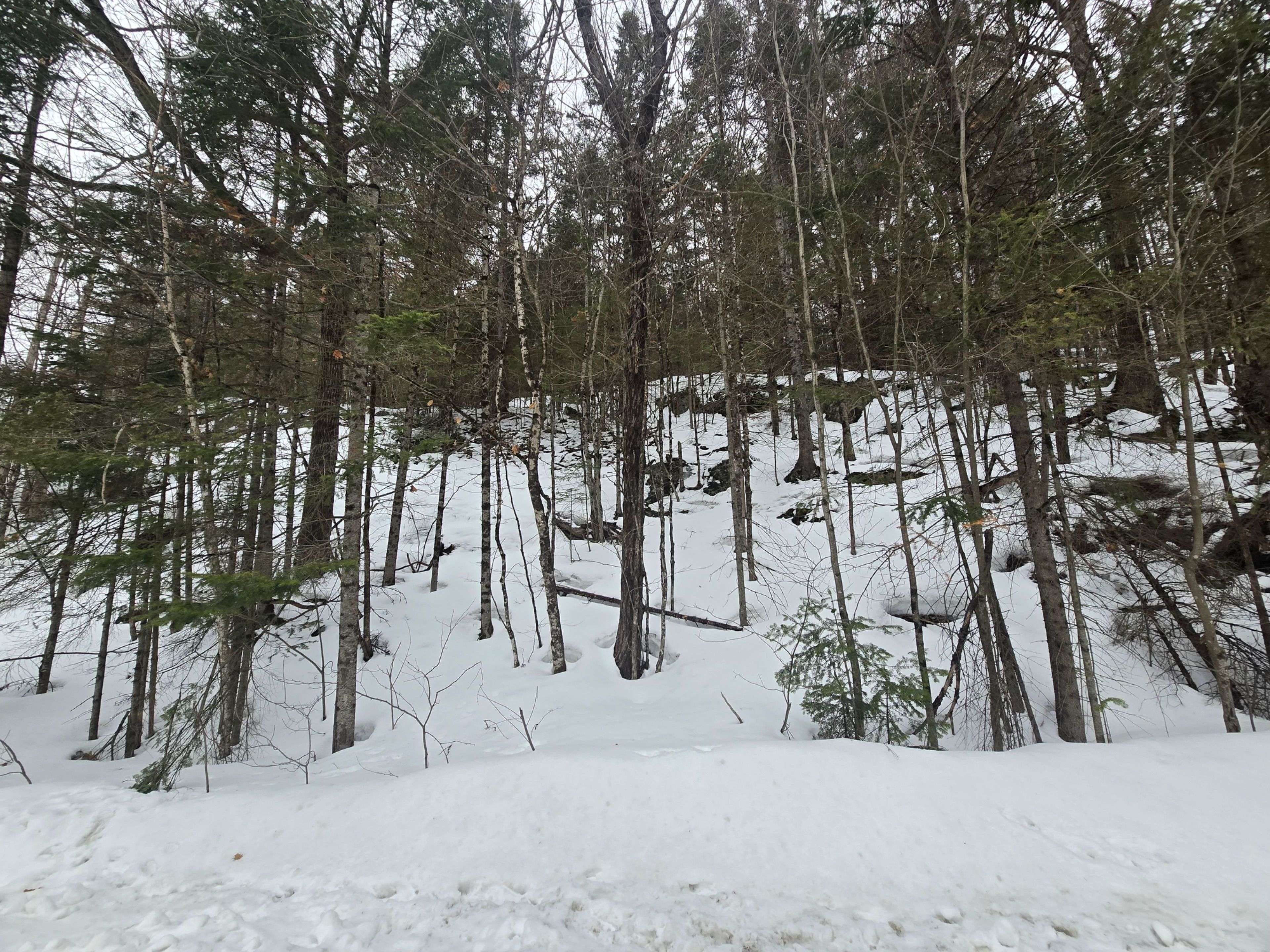 107 Balsam Chutes RD, Huntsville, ON P0B 1L0