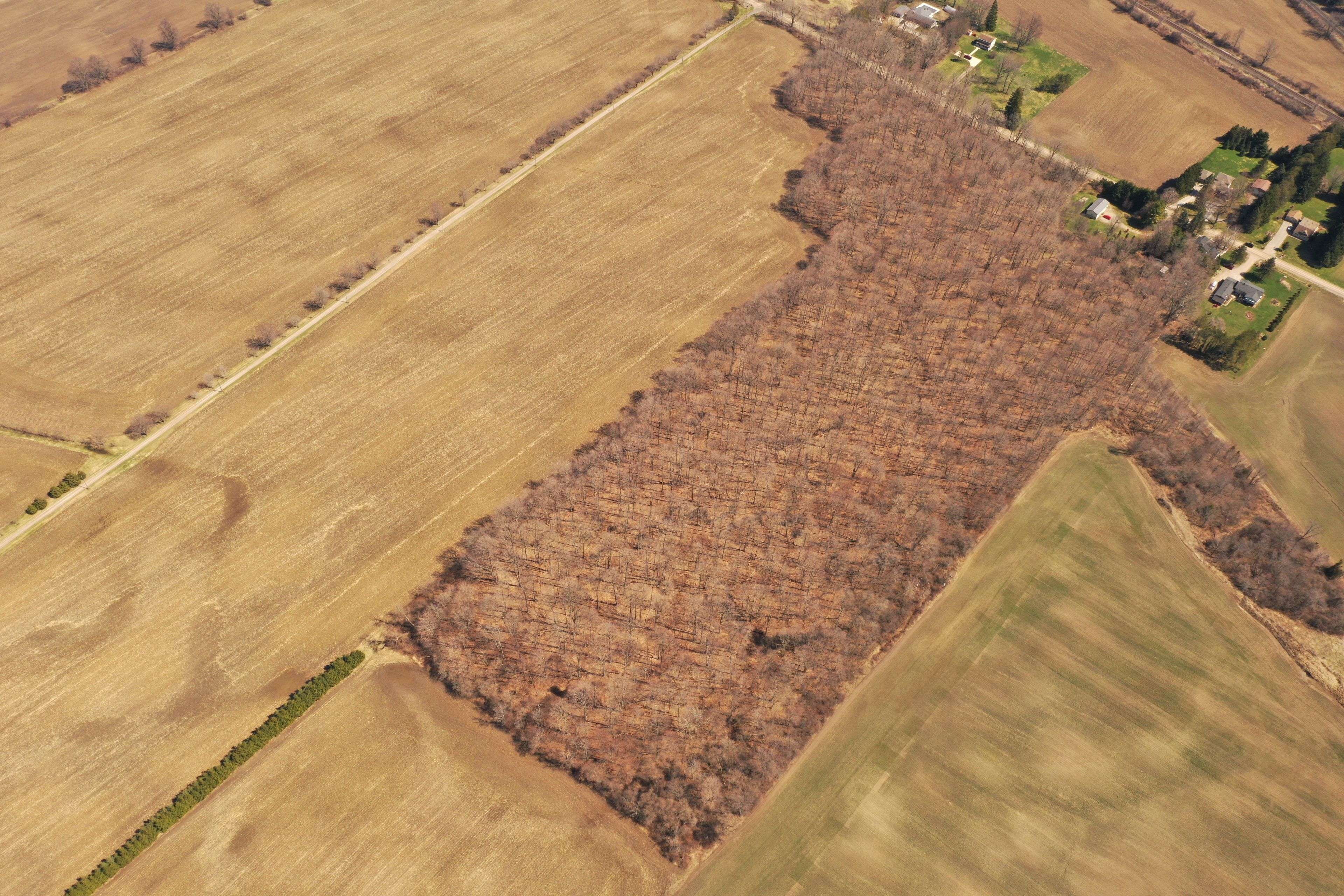 9584 Melrose DR, Middlesex Centre, ON N0L 1R0