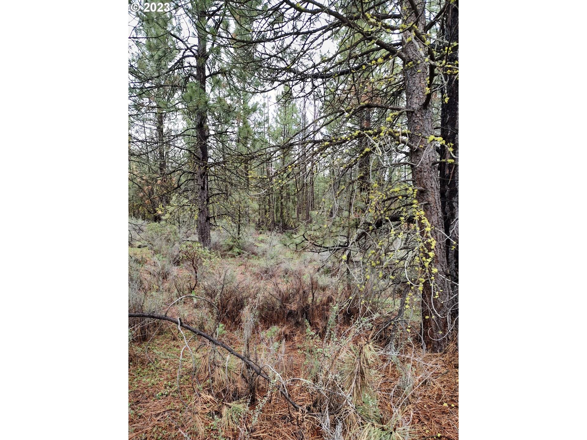 1 Forest Rd 9715, Chiloquin, OR 97624