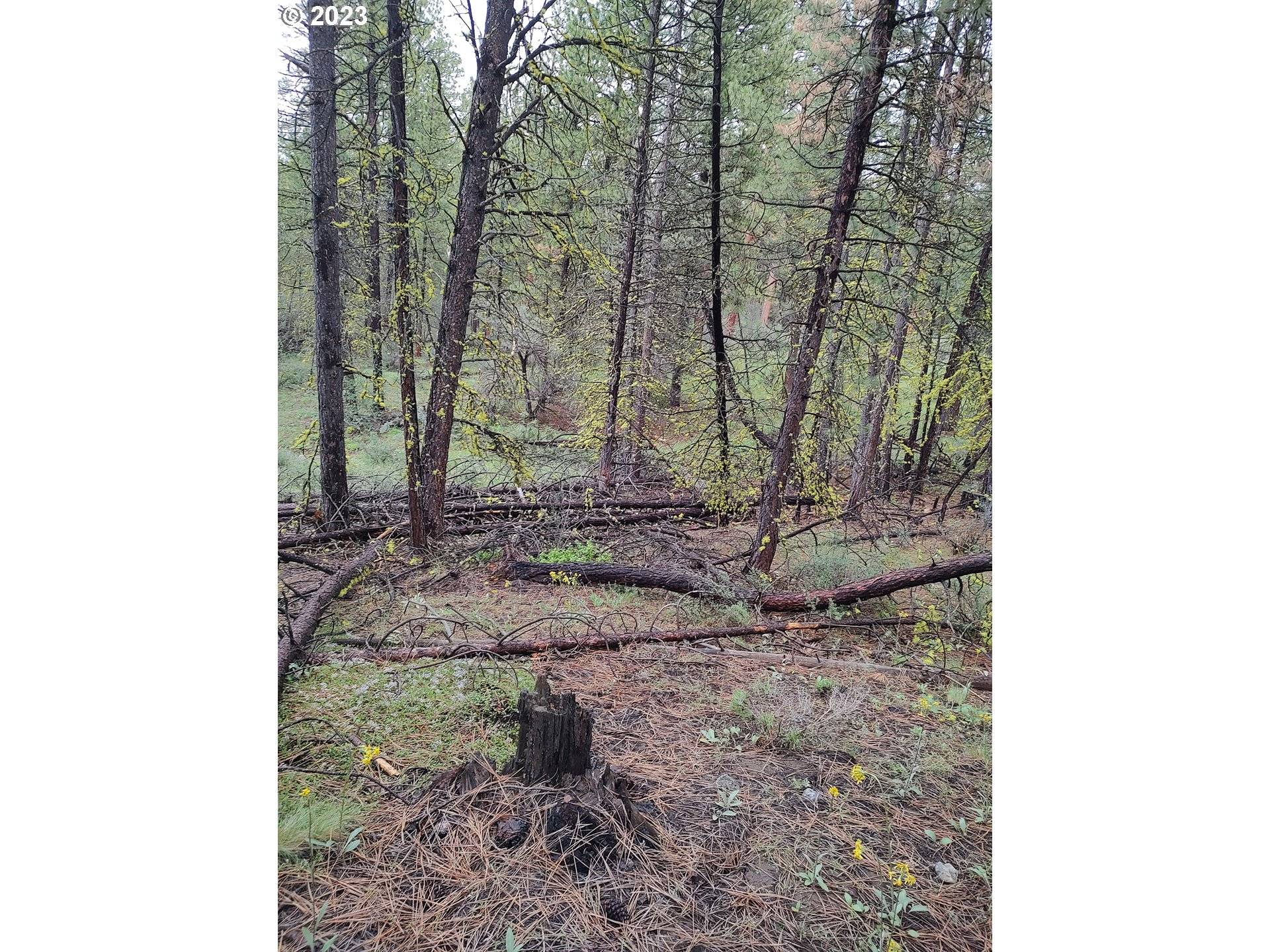 1 Forest Rd 9715, Chiloquin, OR 97624