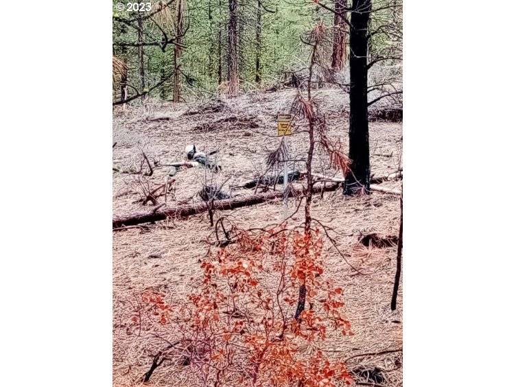 1 Forest Rd 9715, Chiloquin, OR 97624