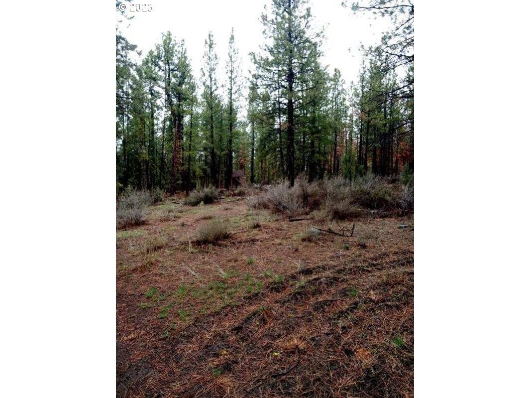 1 Forest Rd 9715, Chiloquin, OR 97624