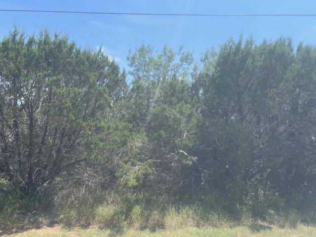 39333 Cedar Trail, Whitney, TX 76692