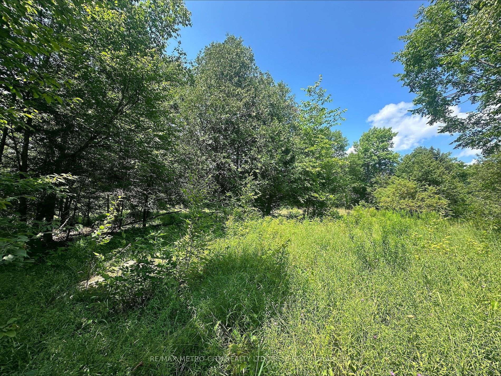 0 Mount St Patrick RD, Admaston/bromley, ON K0J 1N0