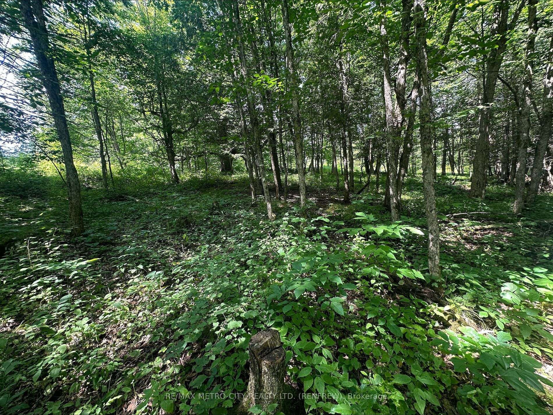 0 Mount St Patrick RD, Admaston/bromley, ON K0J 1N0