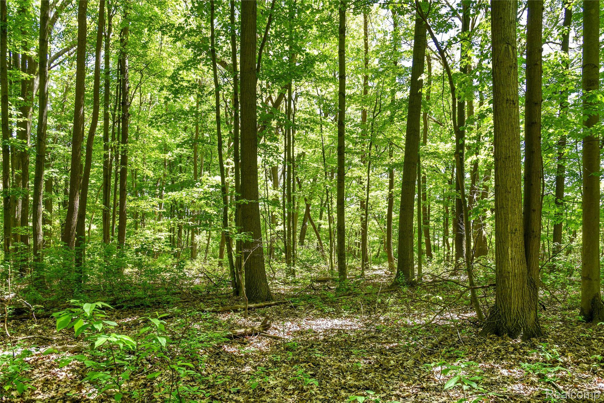 2905 N Lake Pleasant RD, Arcadia Township, MI 48412