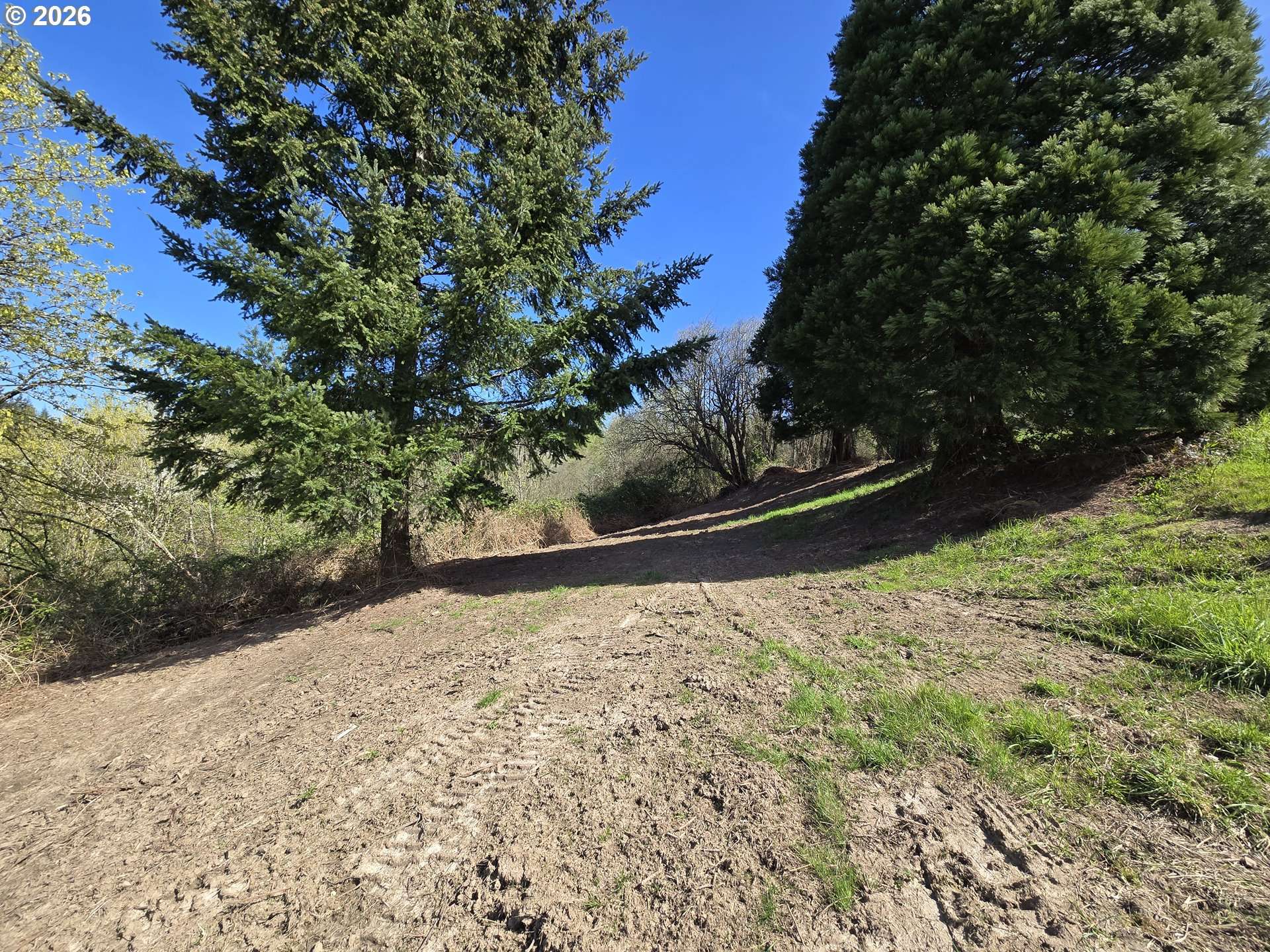 420 TOPEKA RD, Kelso, WA 98626