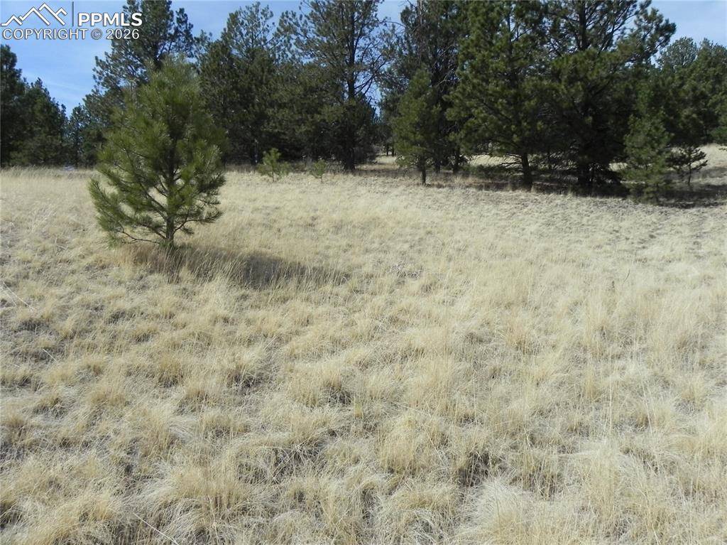 1058 Monarch DR, Cripple Creek, CO 80813