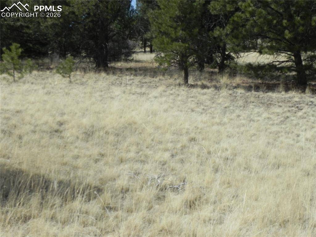 1058 Monarch DR, Cripple Creek, CO 80813