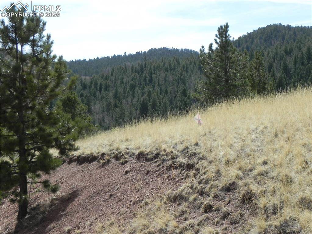 1058 Monarch DR, Cripple Creek, CO 80813