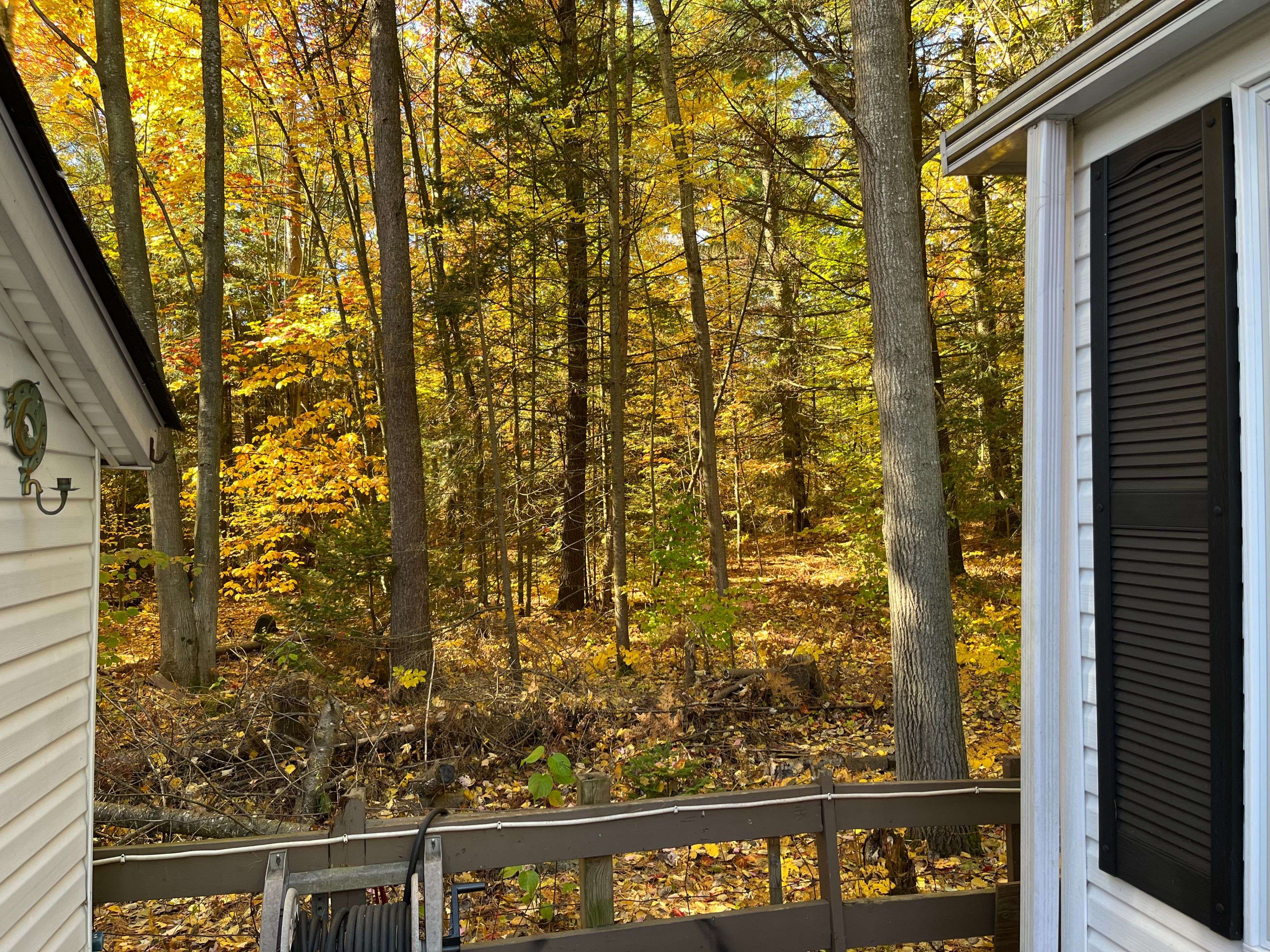 85 Theme Park DR #68, Wasaga Beach, ON L9Z 1X7