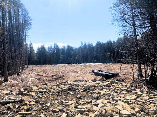 LT 2 ARMSTRONG RD, Merrickville-wolford, ON K0G 1N0