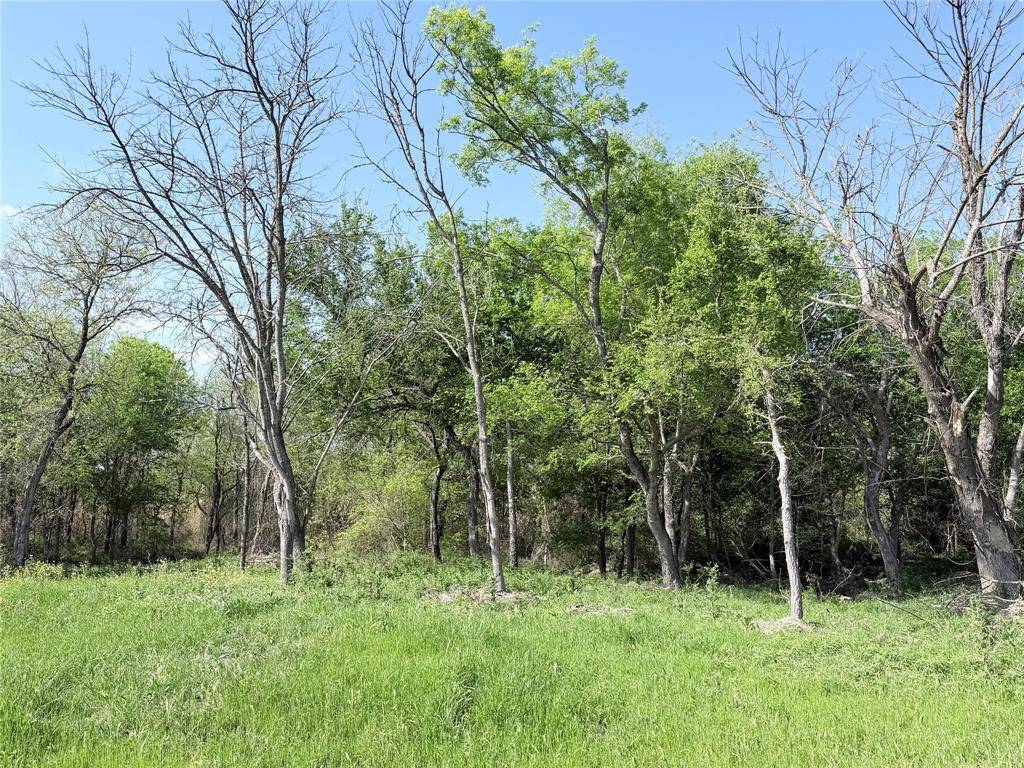 TBD County Road 3204, Abbott, TX 76621