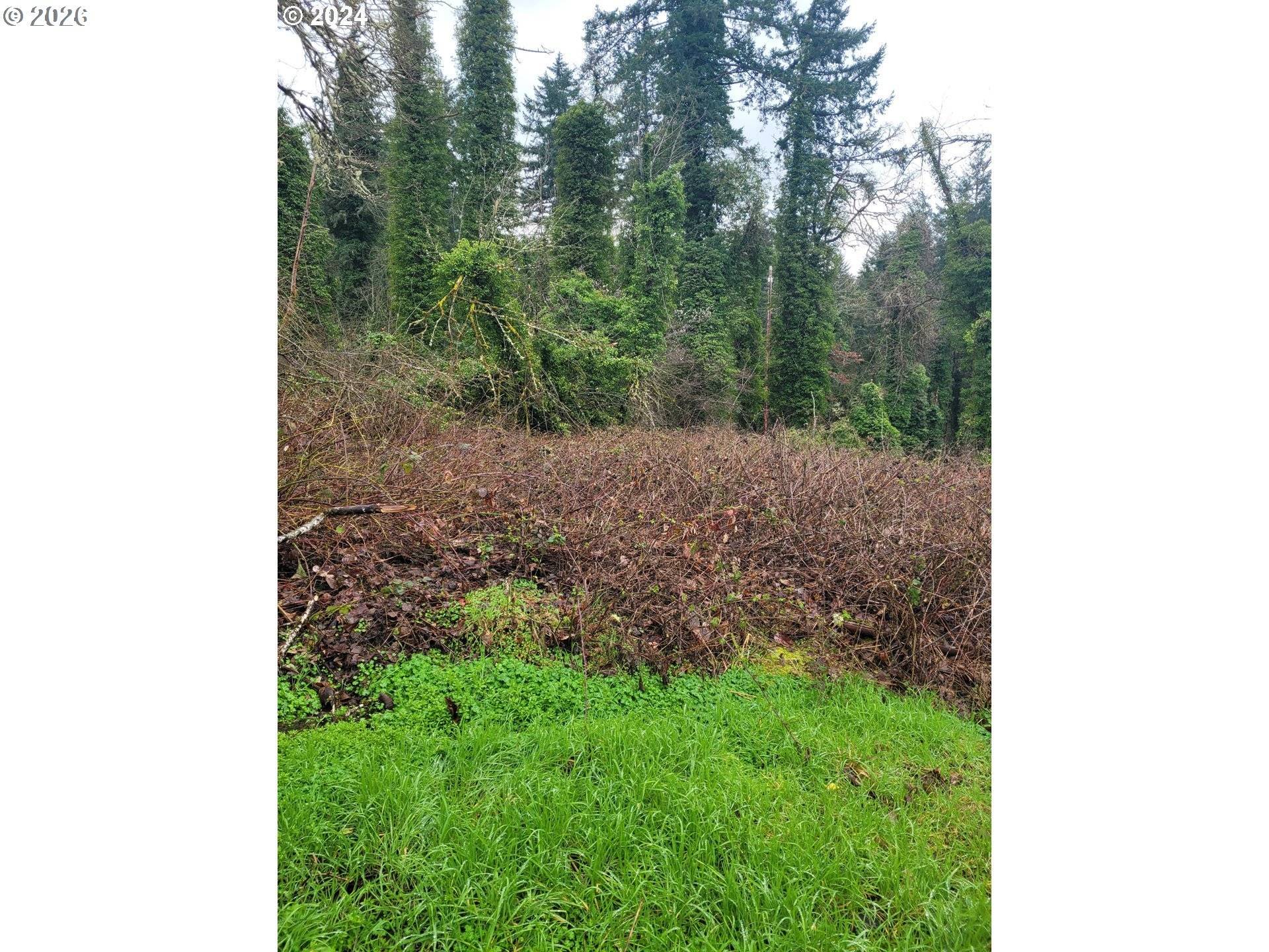 0 S A ST, Springfield, OR 97478